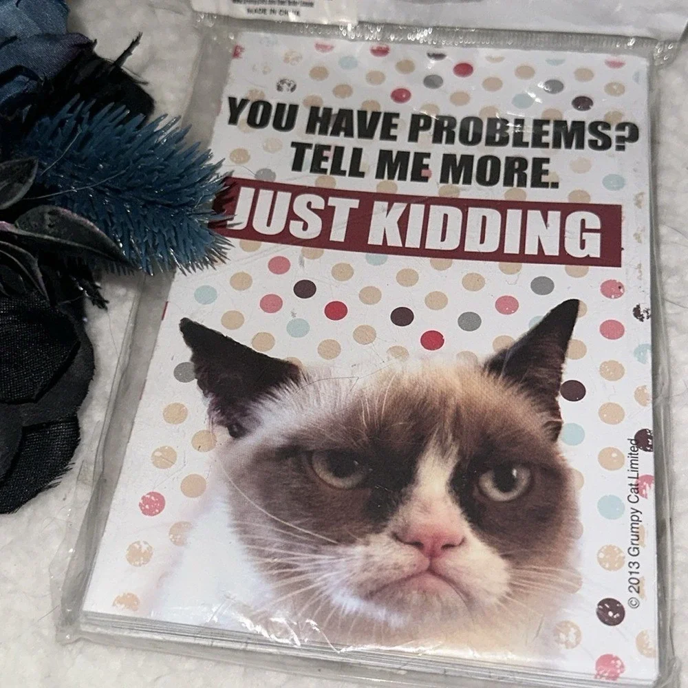 Grumpy Cat Blank Note Cards with Envelopes 8 Count Sarcastic Meme Stationery